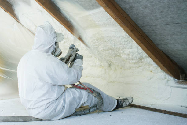 Types of Insulation We Offer in Forestville, OH