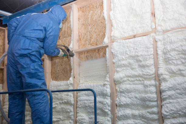 Best Insulation for Metal Buildings  in Forestville, OH